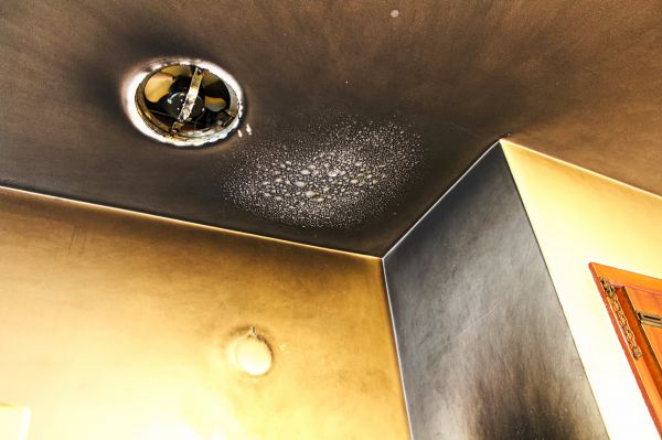 Cost of Smoke Damage Removal in Naples